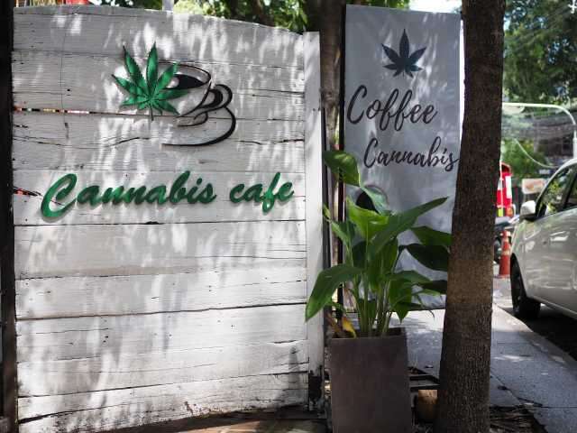Cannabis is legal in Thailand - Cannabis cafe