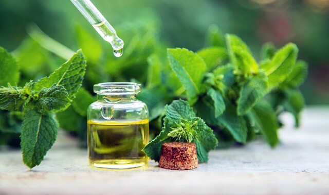 Peppermint Oil For Faster Hair Growth