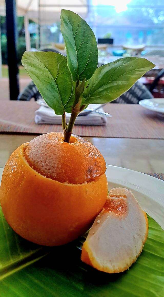 Orange Kulfi