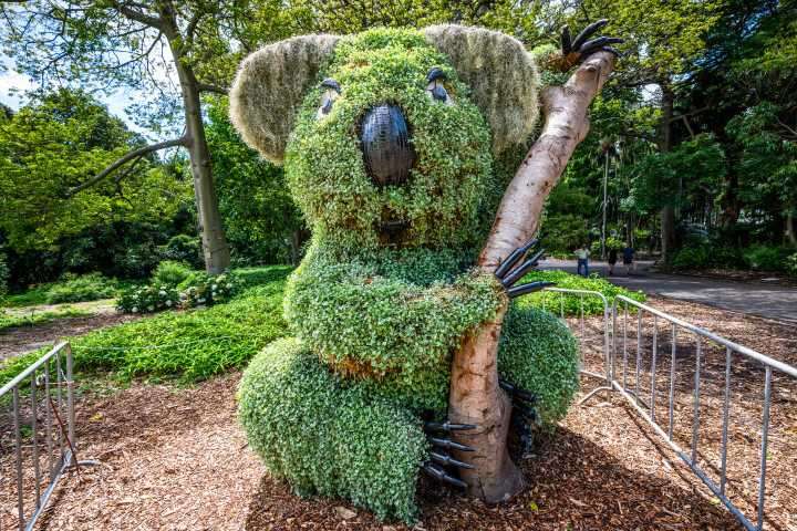 Free things to do in Sydney - Royal Botanic Garden