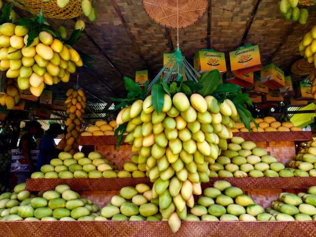 If You Love Mangoes, You’ll Love The Manggahan Festival | Femina.in