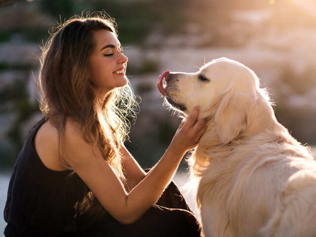 Tips And Tricks To Keep Your Furry Friends Happy This Summer!