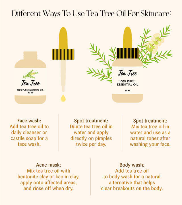 8 Clinically Proven Benefits Of Tea Tree Oil For Skin Femina.in