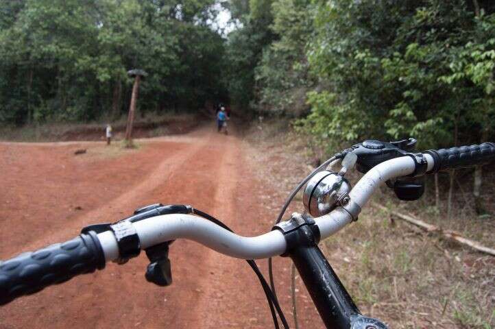 1 Cycle safari in Pench National Park - for representational purposes only