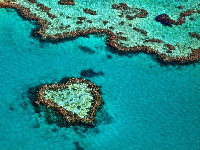 Great Barrier Reef off the danger list