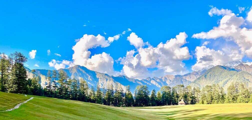 Shangarh meadows in Himachal Pradesh, Switzerland In India - Divyakshi Gupta