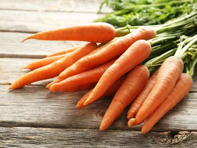 Orange Alert: You Need Carrots In Your Life!
