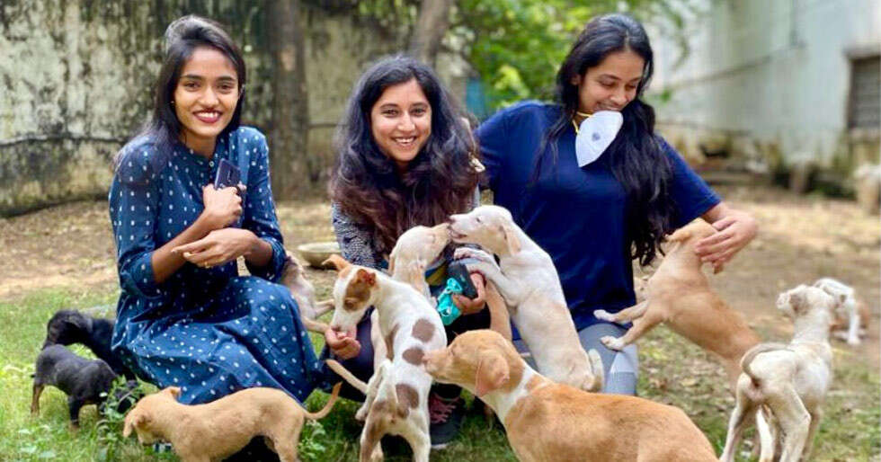 Behind The Scenes With Pawga, India's First Pet Yoga Experience - Vimarsana News