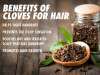6 Amazing Clove Benefits For Healthy Hair Growth