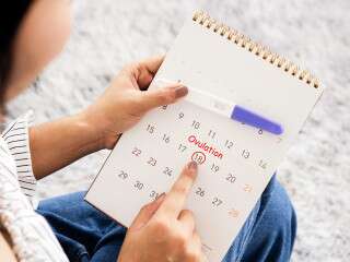 Want To Plan Your Pregnancy? Here’s How To Track Your Ovulation Cycle