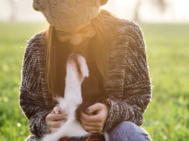 Reasons Pets Are The Life Partners We Need