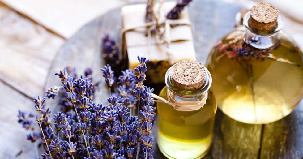 Here’s Everything You Need To Know About Aromatherapy To Get Started ...