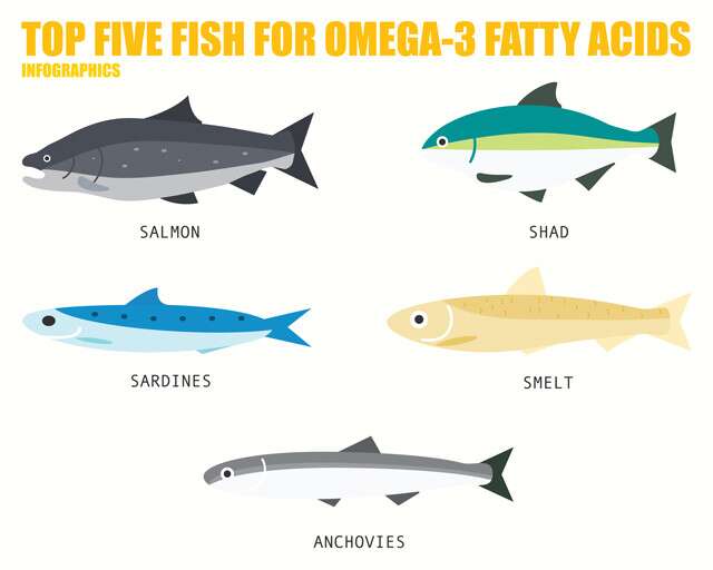 Top 5 omega 3 rich fishes.