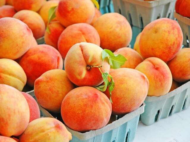 Peaches from Georgia in crisis
