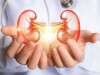 World Kidney Day Expert Recommended Tips To Keep Your Kidneys Safe