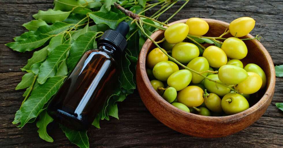 Everything You Need To Know About Neem Oil For Skin | Femina.in