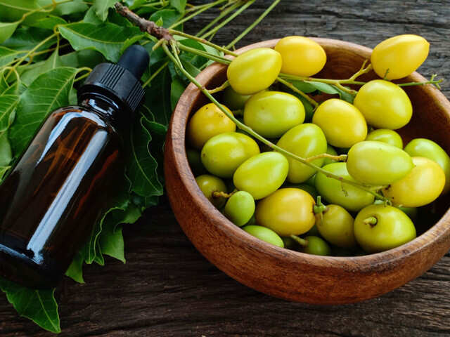 Everything You Need to Know About Neem Oil for Plants 2023