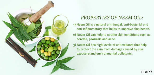 Everything You Need To Know About Neem Oil For Skin Femina.in