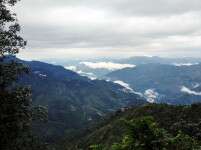 Here Are Some Things To Do In Landour, A Charming Old Town In Mussorie