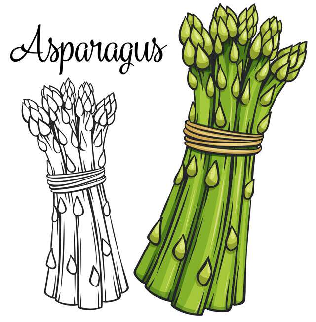 Asparagus is a high protein vegan food.