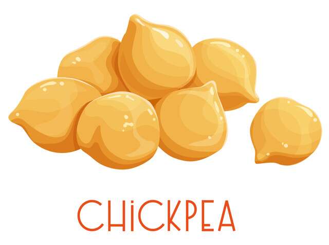 Chic Pea is a high protein vegan food.