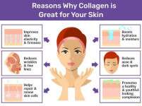 The Ultimate Guide to Collagen for Skin: Benefits, Types, and More