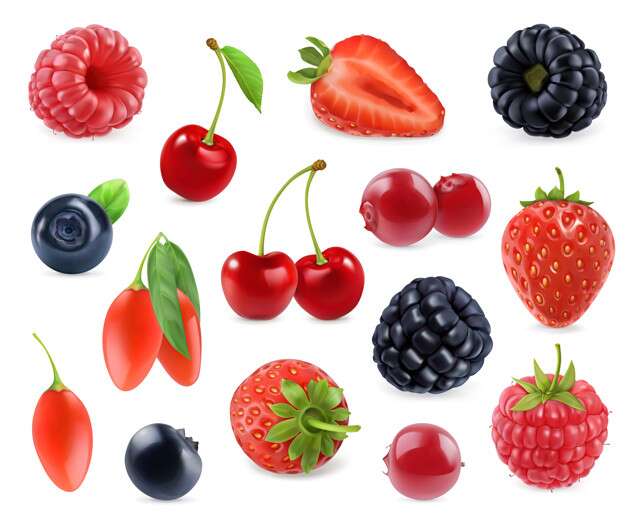 Foods Rich in in Vitamin E - Berries