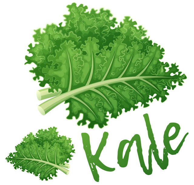 Kale is a high protein vegan food.