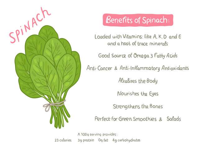Spinach is a high protein vegan food