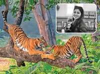 Try A Summer Travel Surprise: Tadoba In Maharashtra