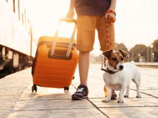 Travel With Your Fur Baby On The Indian Railways: Here’s How