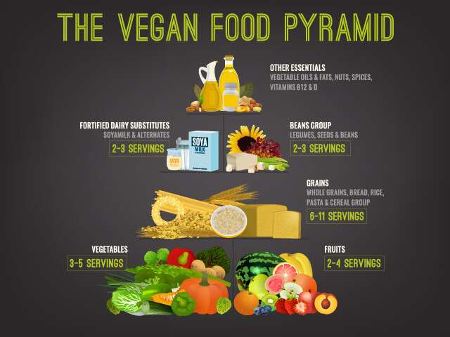 high protein vegan foods