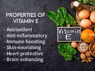 17 Vitamin E Rich Foods to Include in Your Diet