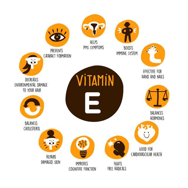 Why Do You Need Vitamin E