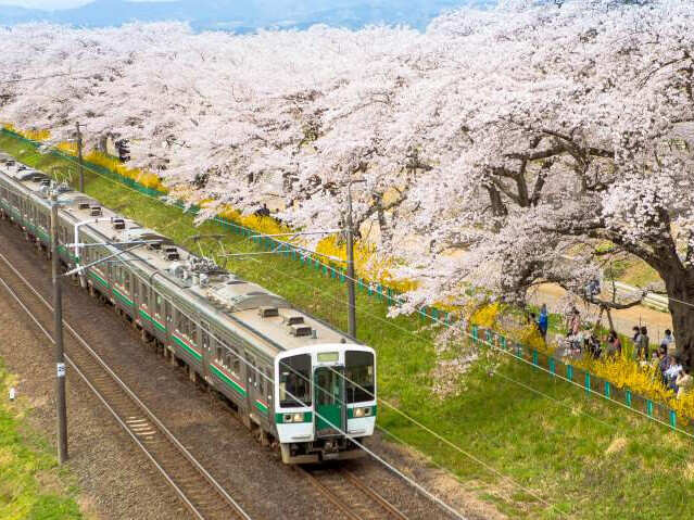 A Seven-Day Japan Rail Pass Now Costs Almost Rs 30000. Still Worth It ...