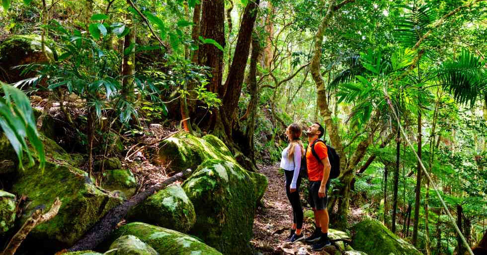 An Australian Adventure For Two: Discover The Romance Of The Great ...