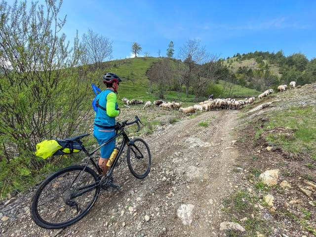 Cycle trail outlet near me