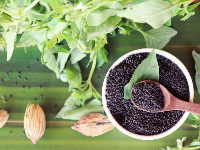 Basil seeds for good health