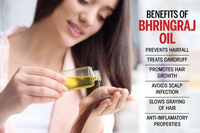 Bhringraj Oil Benefits For Hair And Health.