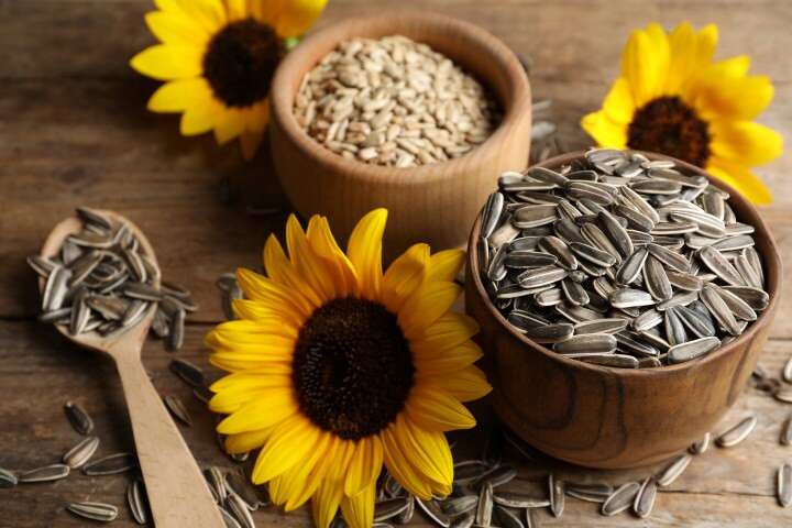 don't starve yourself to sadness - seeds are a source of tryptophan