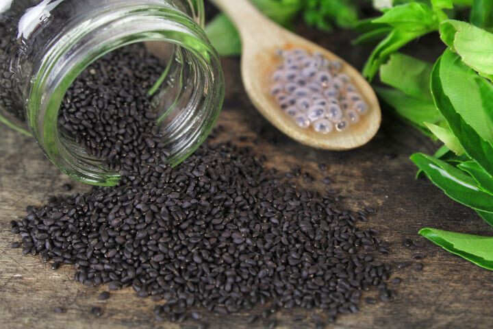 Unleash The Power Of Basil Seeds In Your Life Femina.in