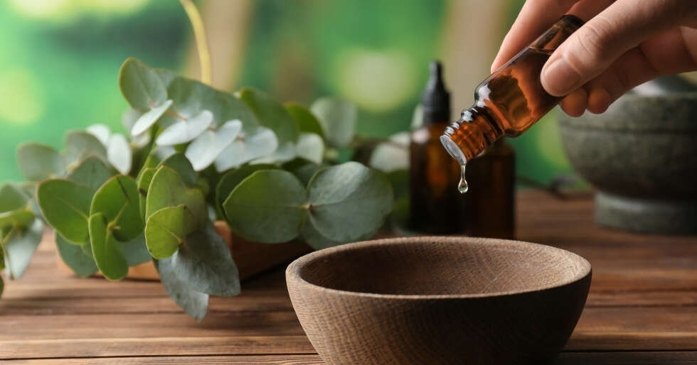 25 Incredible Benefits And Uses of Eucalyptus Oil