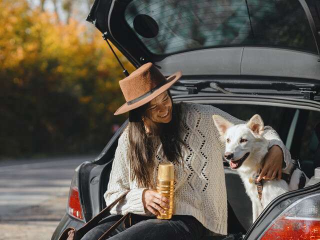 Road Trip Essentials For A Pup-Tastic Time With Your Furry Companion!
