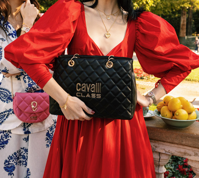 Mother's Day 2024 Gift Ideas - Functional Bag From Cavalli Class
