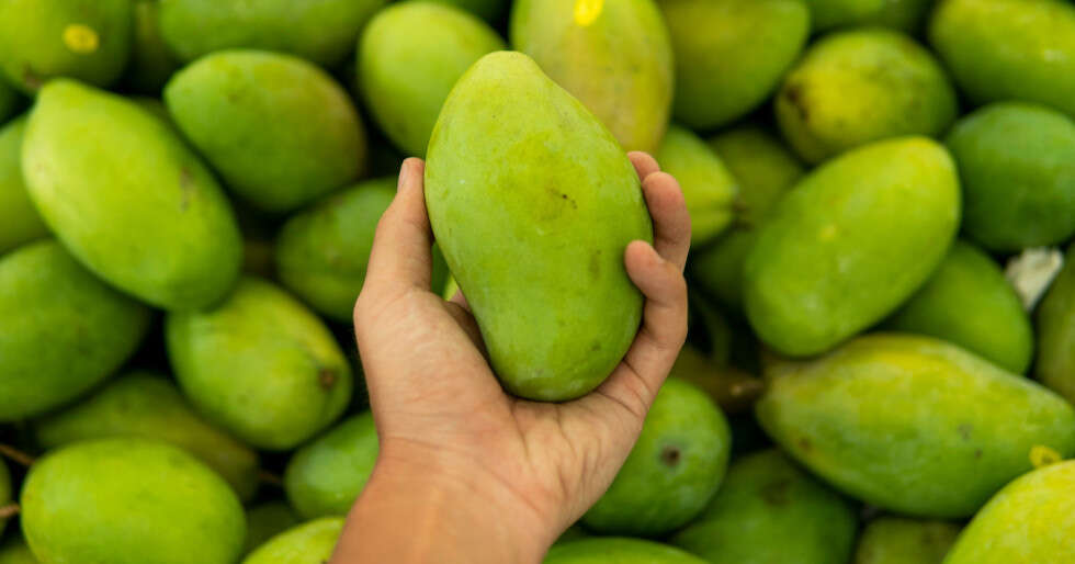 8 Benefits Of Eating Raw Mangoes This Summer