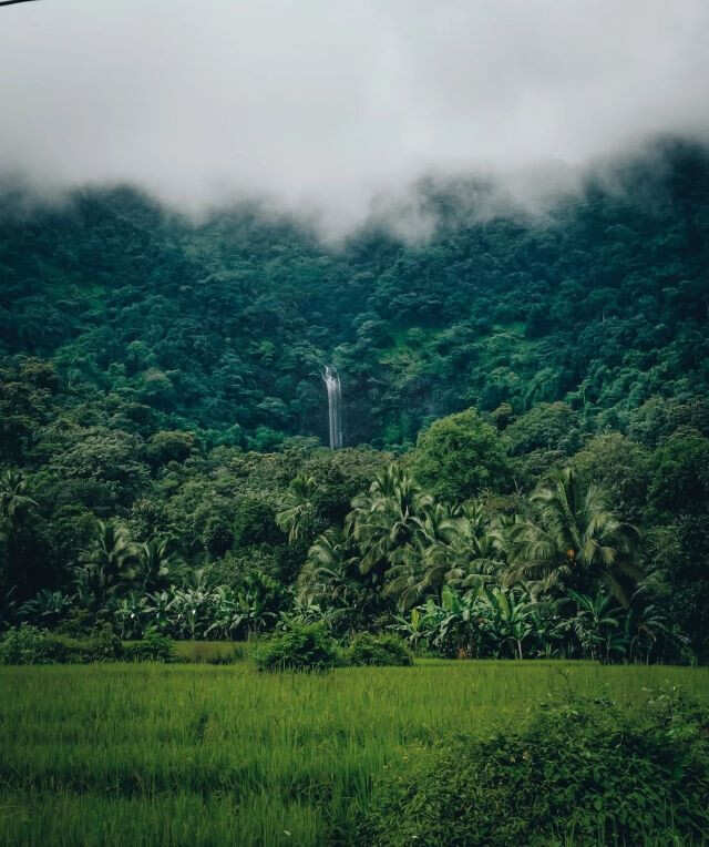 Forget Beaches! Seek Out These Waterfalls In Goa In The Monsoon | Femina.in