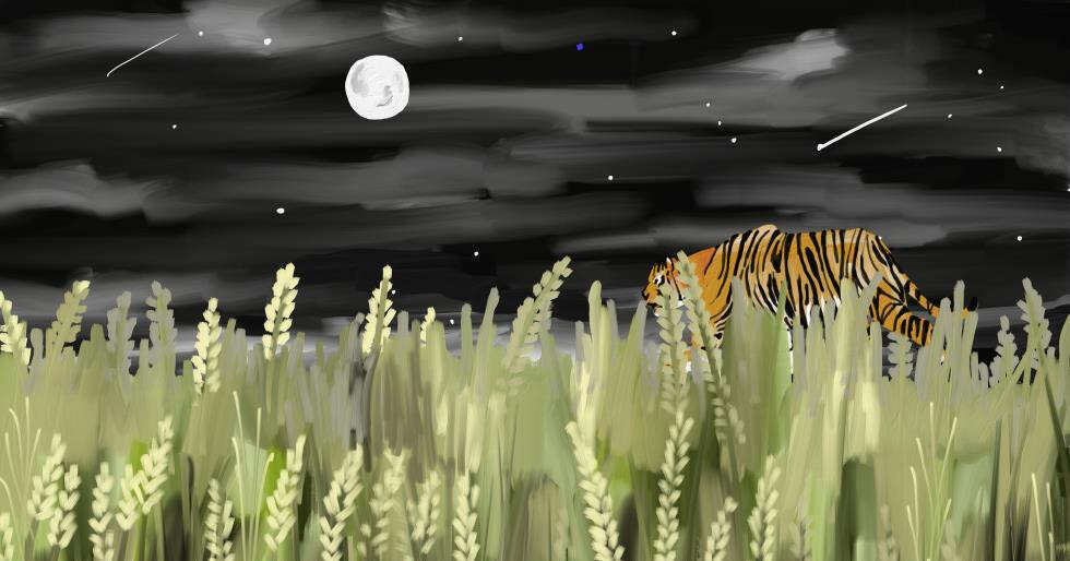Eyes On The Skies: Pench Tiger Reserve Becomes India's First Dark Sky Park - Vimarsana News