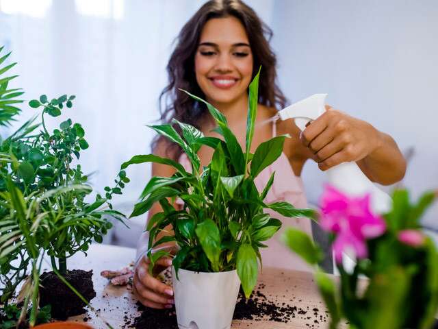 Love Plants But Can’t Keep Them Alive? These 5 Are For You!