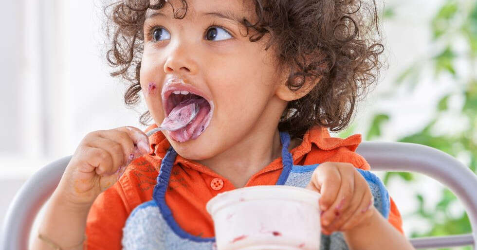 Transform Your Toddler From A Picky Eater To An Adventurous Foodie - Vimarsana News