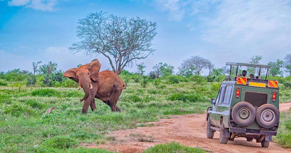 7 Summer Adventures To Try In Kenya This April